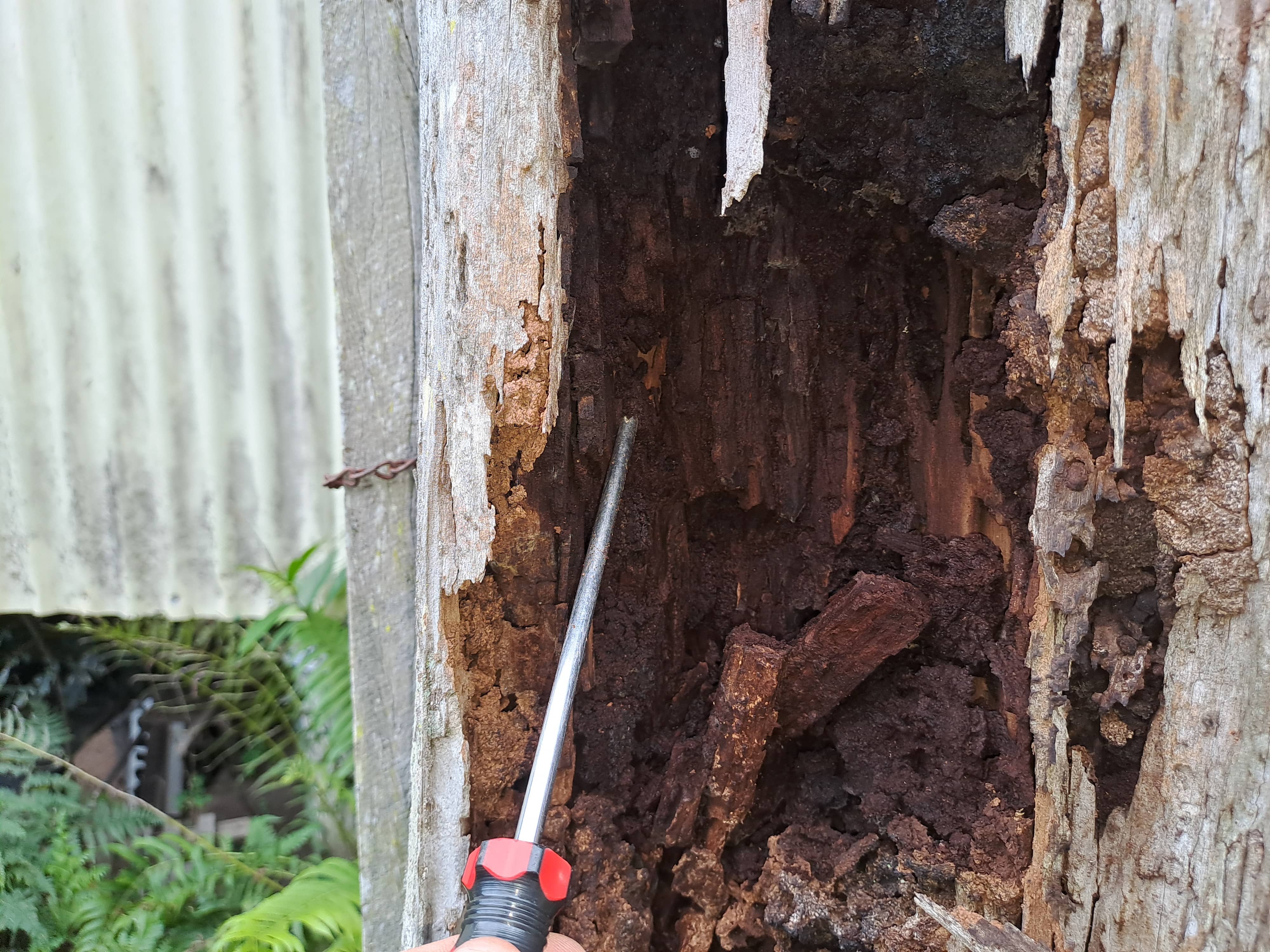 Termite Activity on Gate Post